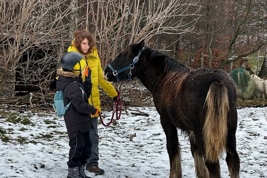 Návštěva poníků v Lísce Návštěva poníků v Lísce 1