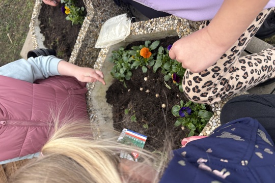 Přišla víla Jarnička Přišla víla Jarnička 1