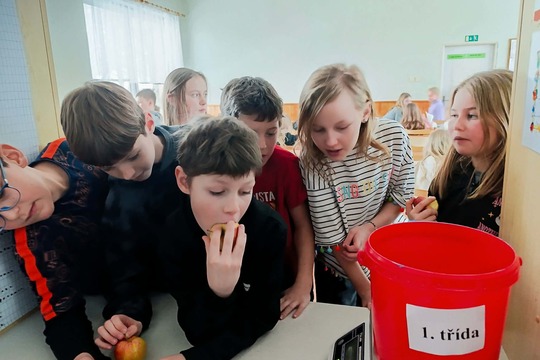 Neplýtváme- audit 1