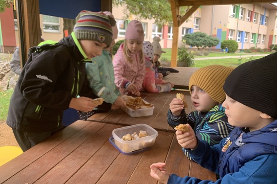 Jablečný projektový týden 1