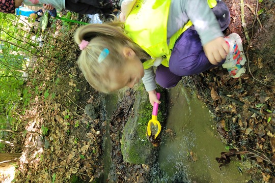 Studánková víla a čištění studánek 1