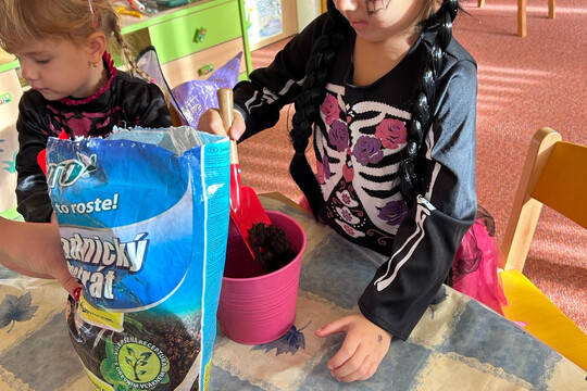 Péče o bylinky z hydroponické zahrádky Péče o bylinky z hydroponické zahrádky 1