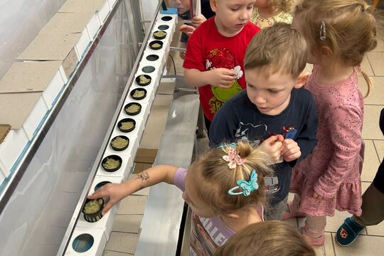 Kytičky z MŠ Kollárova - Hrajeme si na povolání – zahradníci i detektivové 1