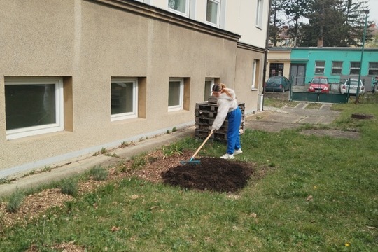 První jarní dny na zahradě První jarní dny na zahradě 1