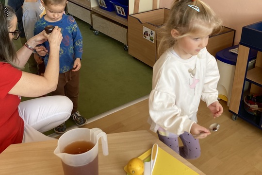 Vitamínový čaj - Berušky 1