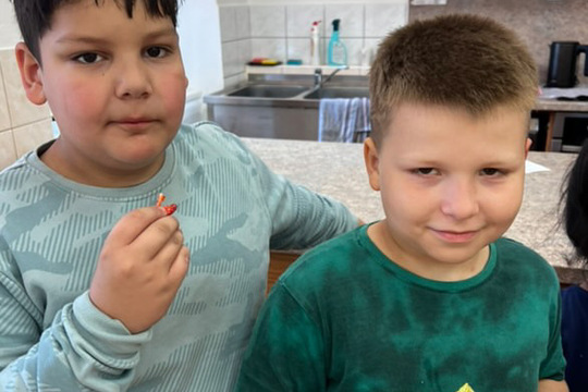 Úklid zahrádky a zdravá odměna 1