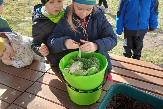 Koloběh živin aneb krmíme žížaly Koloběh živin aneb krmíme žížaly 1