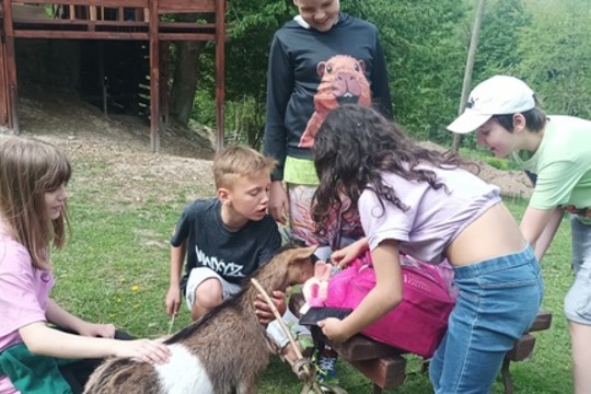 Čtvrťáci poznávali život na farmě i principy ekologického zemědělství Čtvrťáci poznávali život na farmě i principy ekologického zemědělství 1