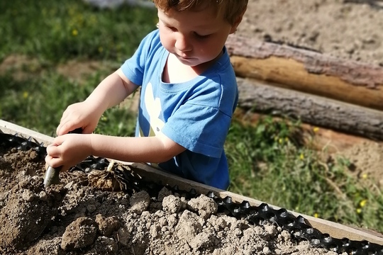 Zahrádka lesní školky Na Pasece je plná dobrot 1