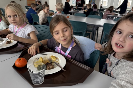 Audit plýtvání jídlem: učíme se jíst s respektem 1