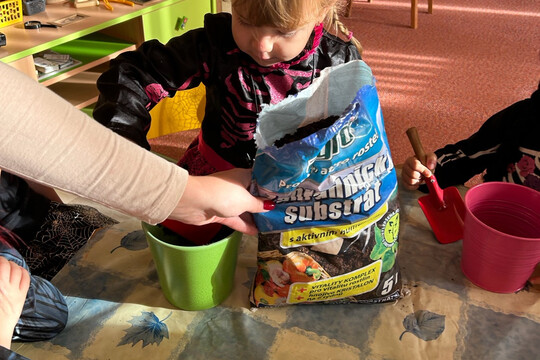 Péče o bylinky z hydroponické zahrádky Péče o bylinky z hydroponické zahrádky 1