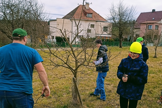 Jarní řez ovocných stromů 1