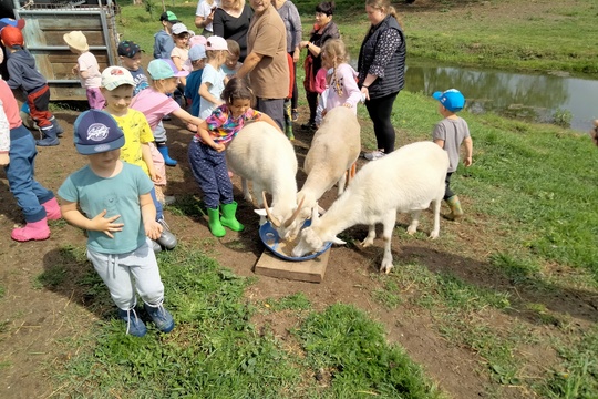Výlet na farmu  1