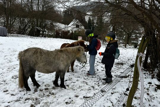 Návštěva poníků v Lísce Návštěva poníků v Lísce 1