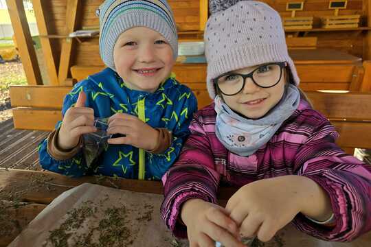 Sušíme bylinky - pokračování Sušíme bylinky - pokračování 1