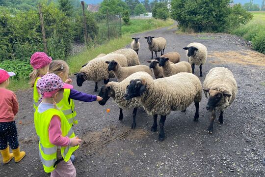 Medvídci z MŠ Soběchleby na ovčí farmě 1