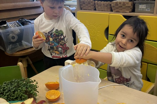 Vitamínové experimentování 1