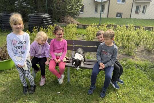 Zvířátka – ať už plastová, plyšová, živá nebo kreslená 1