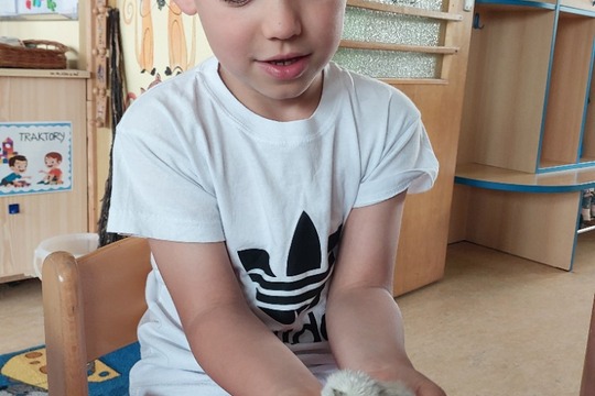 Objevování a poznávání jako každodenní rituál v životě školičky 1