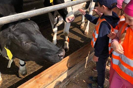 Návštěva na farmě Doubravský dvůr 1