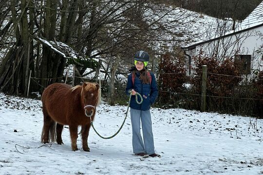 Návštěva poníků v Lísce Návštěva poníků v Lísce 1
