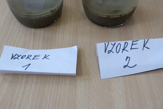 Klimatická zahrada Klimatická zahrada 1