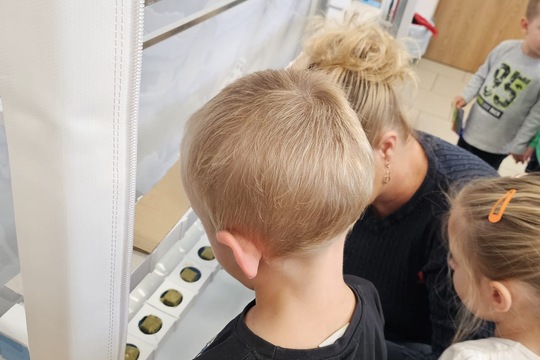 Berušky z MŠ Kollárova sází bylinky do hydroponické zahrádky 1