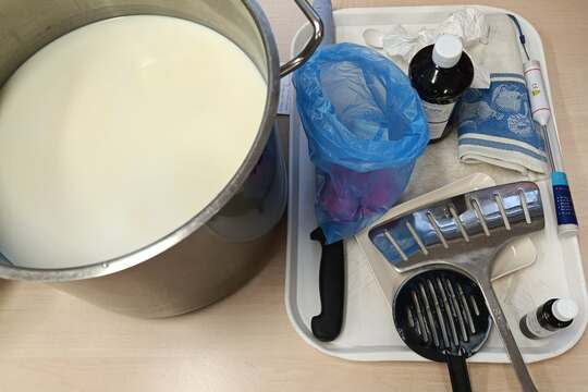 MŠ vyrábí sýry 1