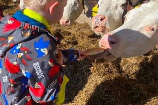 Návštěva farma Drozdových v Kravsku Návštěva farma Drozdových v Kravsku 1