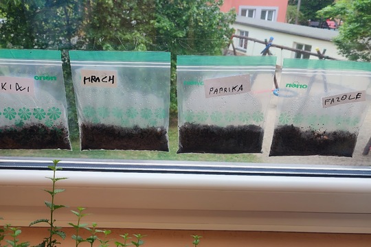 Ze třídy až na záhon Ze třídy až na záhon 1