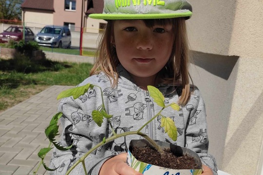 Chystáme se na farmářský trh:-) 1