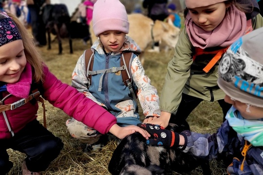 Poznáváme svět zvířat zblízka Poznáváme svět zvířat zblízka 1