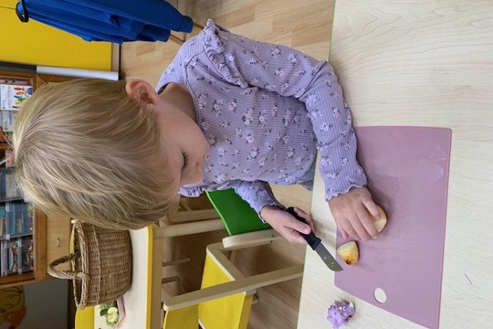 Sušení ovoce Sušení ovoce 1