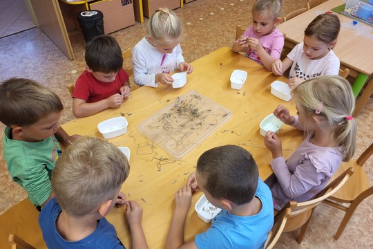 Od zrníčka k chlebu - sklízíme obilí - Sluníčka Od zrníčka k chlebu - sklízíme obilí - Sluníčka 1