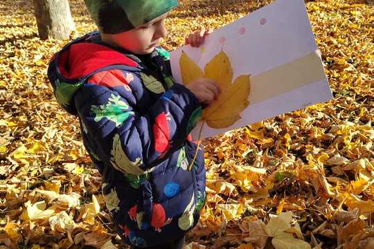 PODZIM KOLEM NÁS PODZIM KOLEM NÁS 1