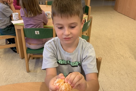 Nejen zdravá svačinka, to je dobrá mandarinka 1