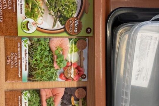 Microgreens - Sovičky 1