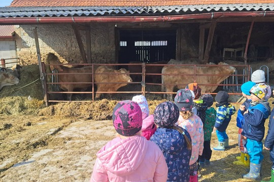 Cesta másla Cesta másla 1