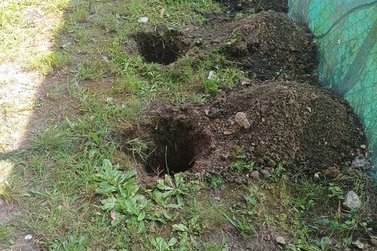 Naše školková vinice 1