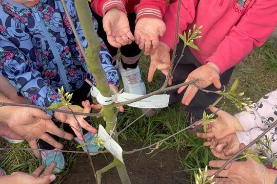 Nový přírůstek  1