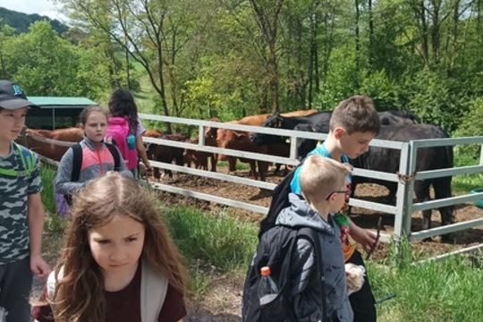Čtvrťáci poznávali život na farmě i principy ekologického zemědělství Čtvrťáci poznávali život na farmě i principy ekologického zemědělství 1