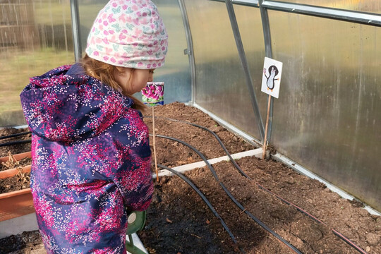 Jak si kdo zasadí, tak si taky sní  1