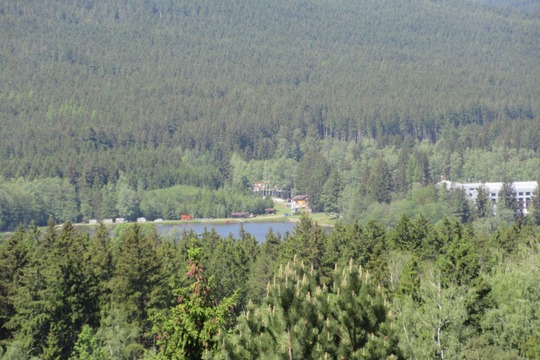 Podlesíčko 1