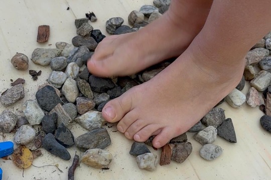 Jsme školka v pohybu Jsme školka v pohybu 1