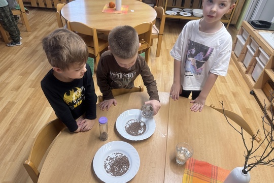 Klíčení semínek 1