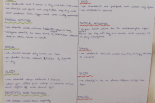 Cizojazyčné projekty na téma Zdravé stravování 1