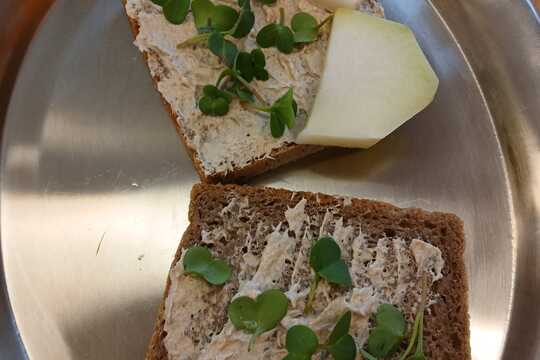 Microgreens 1