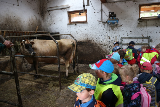 Tématický výlet za zvířátky, farma: Varnsdorfský kocour 1