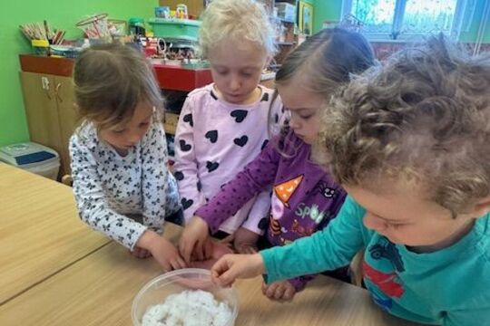 Microgreens - Sovičky 1