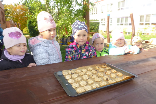 Zdravé ovesné sušenky pečené v zahradní peci 1